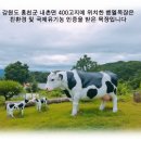 벧엘목장 이미지