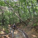 전주시 *모악산-무제봉-가주봉* 원점회귀 (25.06.26) 이미지