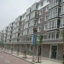 신흥민박 이미지