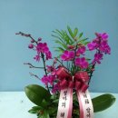 안양1번가지점(농협중앙회) 이미지