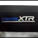 사랑 스테이 이미지