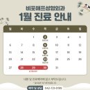 비포애프성형외과
