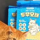 고양이 모래 추천, 가성비까지 잡은 멍냥이노리터 두부모래 솔직후기