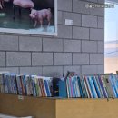 통영리스타트플랫폼 세미나실5(3층) 네이버블로그