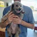 전주효자초등학교 이미지