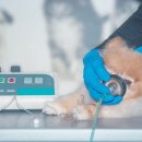 나을동물병원 이미지