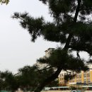 송내초등학교 이미지