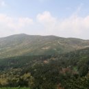 내서초등학교 이미지