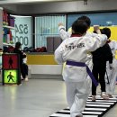 국가대표 경희대 키즈 태권도 이미지
