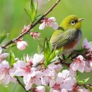 우리보금자리 이미지