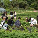 공릉아파트경로당 이미지