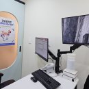 사라 양한방 동물병원 | 광주 본동물병원 (구.본펫) 슬개골 탈구 검진후기