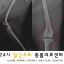 백두동물병원 이미지