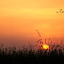 가을노을C 이미지