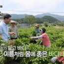 아리랑식품영농조합법인 이미지