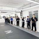 팀 리스펙트 | 개봉주짓수 리스펙트 한 달 후기