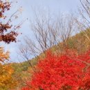 캠핑장펜션 이미지