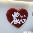 H1233 이미지