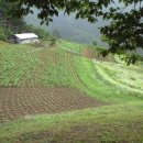 솔도민박 이미지