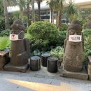 마라도 | 대한민국 동서남북 여행하기 - 최남단 마라도 여행 후기