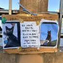 예스플랜