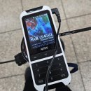 애정사 | 그의 그림엔 소화되지 않은 세상은 등장하지 않는다&#34; 마르크 샤갈 특별전(박보검 오디오 가이드 이용 후기)