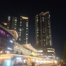 동탄중앙약국 | 동탄호수공원 루나쇼 루나갤러리에서 관람 후기