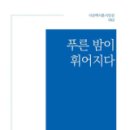 푸른밤 Daum카페