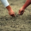 한솔약국 이미지