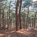 쉼,-IN SEOUL 이미지