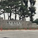 이호랑37 | 🐶애견동반 3박4일 제주도 1일차 (📍이호테우 해변, 동문시장)