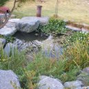 들꽃마을 펜션 이미지