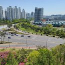 백두산공인중개사사무소 이미지