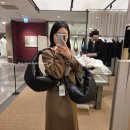 #DOG | 드릉드릉 구매확률 90% 이상 위시리스트 : 르메르 포춘백, 카르뱅 안나 등