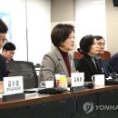 진선미 이미지