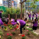 비래동 주민센터 이미지