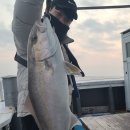 케이원펜션 이미지