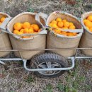 주현농장 이미지