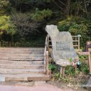 식산봉의 황근자생지 및 상록활엽수림 이미지
