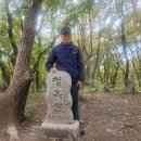 명당의 향기 이미지