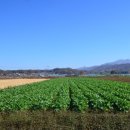 객현2리 이미지