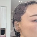 살롱드린 - 남구 | 포항 우현동 헤어 컬러 블랙커런트 염색 주현 디자이너 후기 : 살롱드린 포항우창점