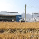 손대성축사 이미지