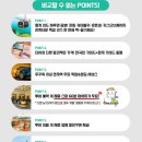 지원카정비 | 푸꾸옥 호핑투어 복장 남부 혼똔섬 케이블카 풀코스 패키지 후기