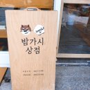 밤가시상점 | 밤리단길 소품샵 : 밤가시상점 비즈반지 후기