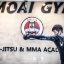 모아이짐 이미지