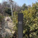 소전미술관 | 시흥 미술관 감성 북 카페 추천_더숲 소전미술관 (내돈내산 후기)