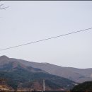 자천초등학교보현분교 Daum카페