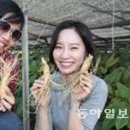 (주)남강환경 이미지