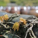 유락농장 이미지